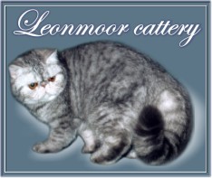 Leonmoor cattery